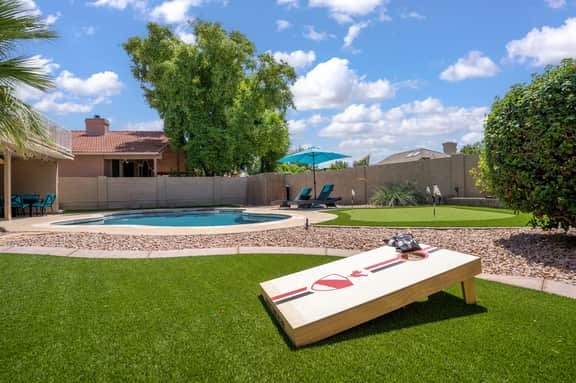 The Lazy Ocotillo